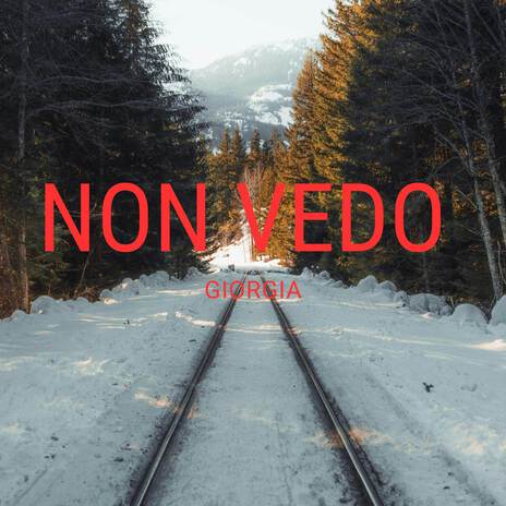 Non Vedo | Boomplay Music