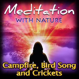 Campfire, Bird Song and Crickets