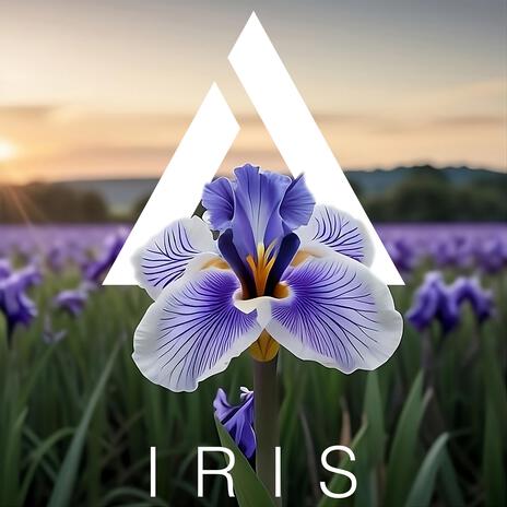 Iris | Boomplay Music