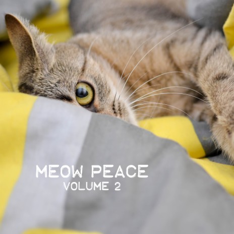 Through the River ft. Music for Cats & Cat Music Experience | Boomplay Music