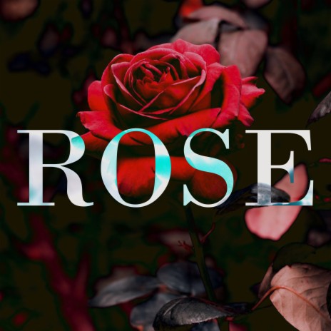 Rose | Boomplay Music