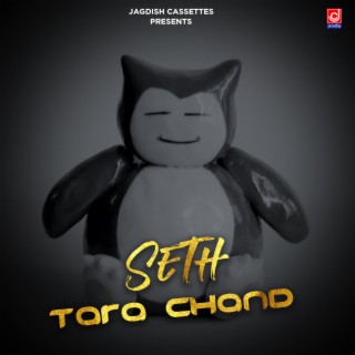 Seth Tara Chand