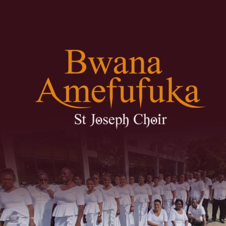 Bwana Amefufuka | Boomplay Music