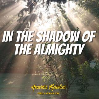 In the Shadow of the Almighty