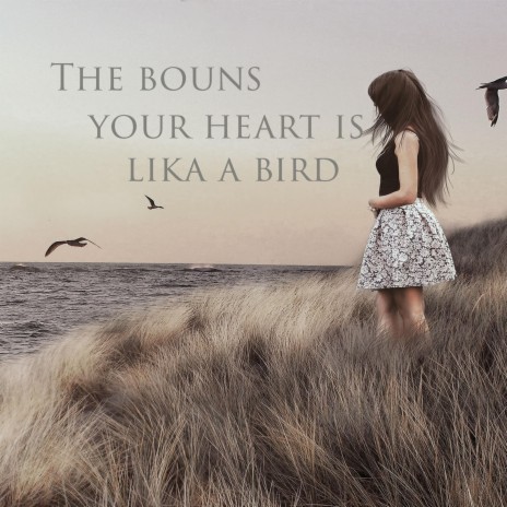 Your Heart Is Like a Bird