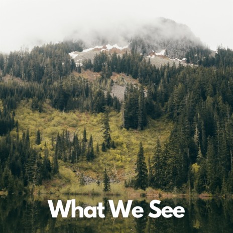 What We See | Boomplay Music