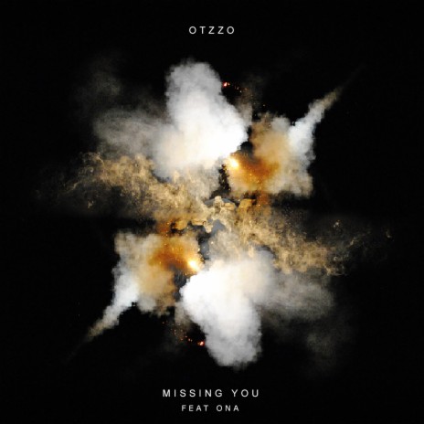 Missing You (feat. Ona) (Radio Edit) | Boomplay Music