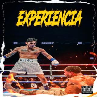 Experiencia