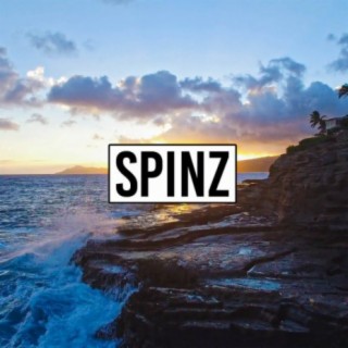 SPINZ