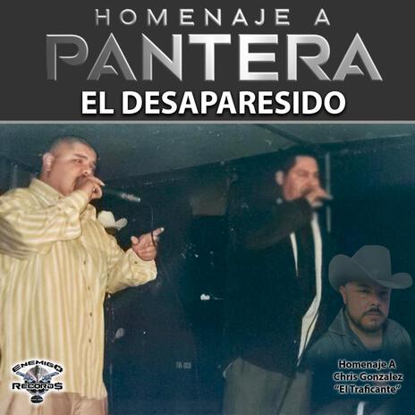 Homenaje A Pantera | Boomplay Music