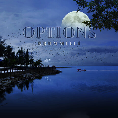 Options | Boomplay Music