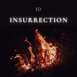 Insurrection