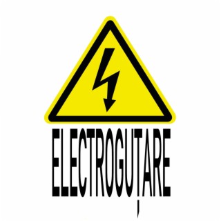 ElectroGutare