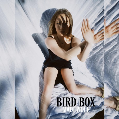 Bird Box | Boomplay Music