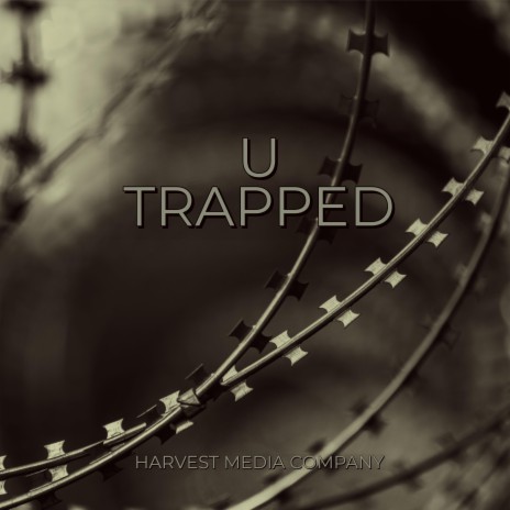 U Trapped | Boomplay Music