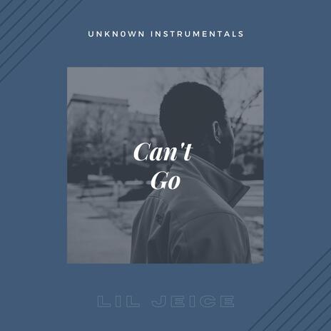 Can't Go ft. Dovedo | Boomplay Music