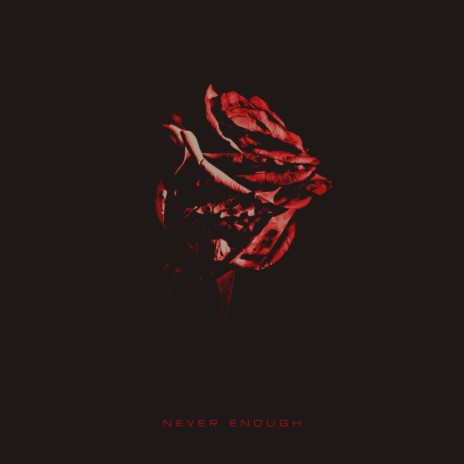 Never Enough | Boomplay Music