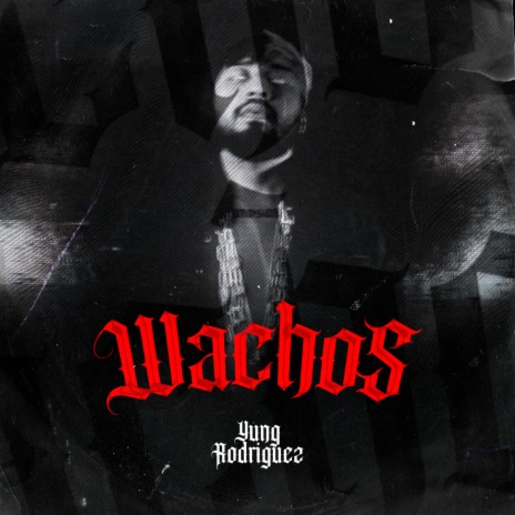 Wachos | Boomplay Music