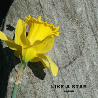 Like A Star