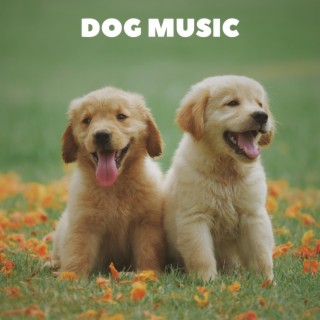 Music For Puppies