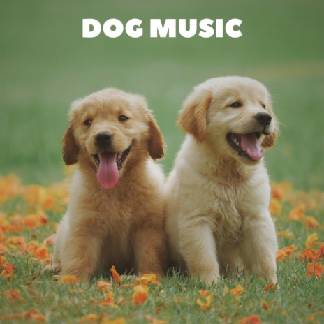 Peaceful Music For Puppies