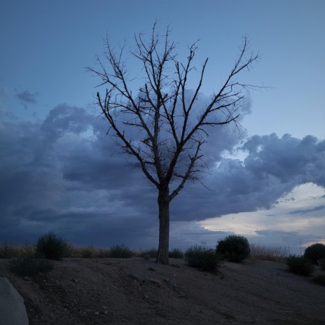 The Dry The Desolate | Boomplay Music