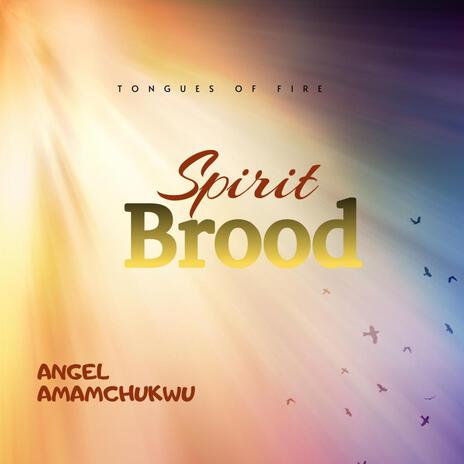 Spirit brood (Tongues of fire) ft. Angel Amamchukwu | Boomplay Music