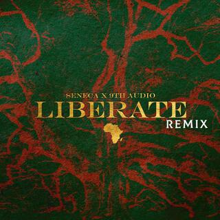 Liberate Remixes (9th Audio Remix)