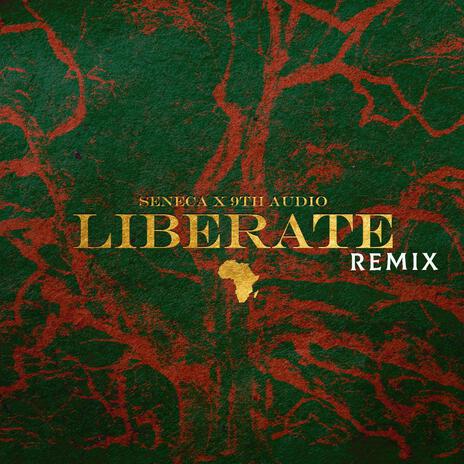 Liberate (9th Audio Remix) ft. 9th Audio