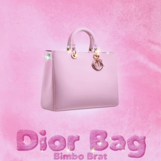 dior bag