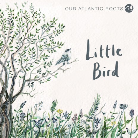 Little Bird | Boomplay Music