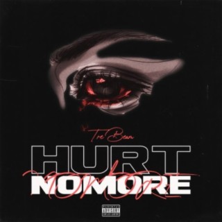 Hurt Nomore