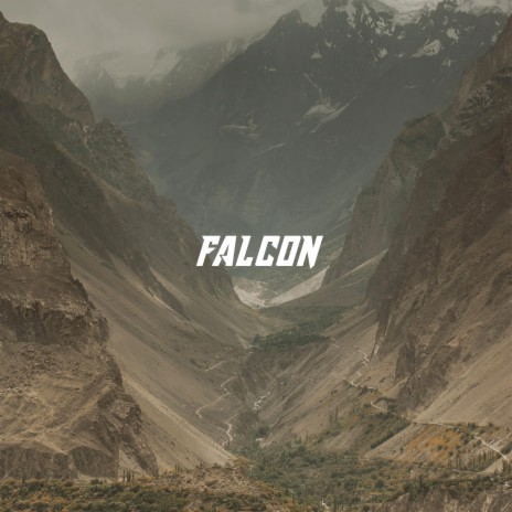 Falcon | Boomplay Music