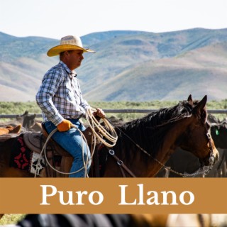 Puro Llano