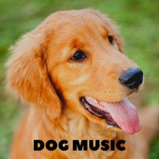 Dog Lullaby Songs