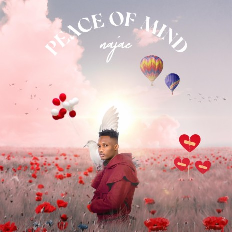 Peace of mind 🅴 | Boomplay Music