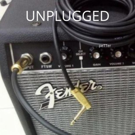 Unplugged My Mind | Boomplay Music