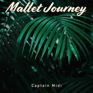 Mallet Journey