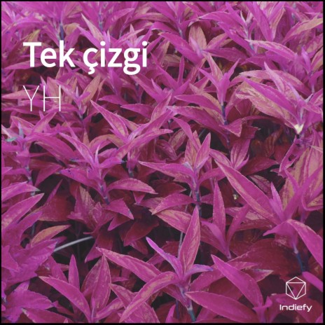 Tek çizgi | Boomplay Music