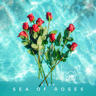 Sea Of Roses