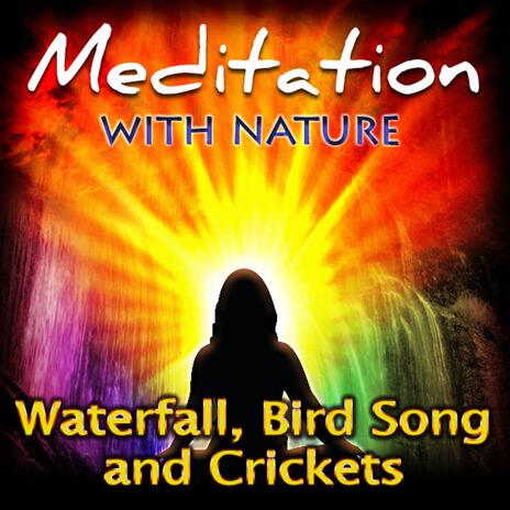 Waterfall Bird Song and Crickets