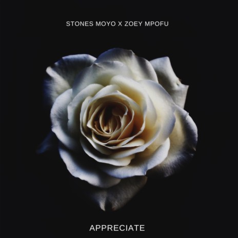 Appreciate (feat. zoey mpofu & Just Percy) | Boomplay Music