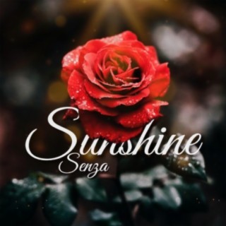 Sunshine (feat. Shady B)