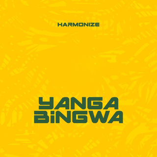 Yanga Bingwa