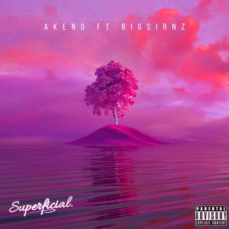 Superficial ft. BigSirNz | Boomplay Music