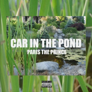 Car In The Pond