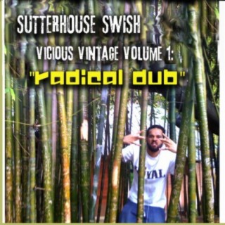 VV Vol.1: RADICAL DUB