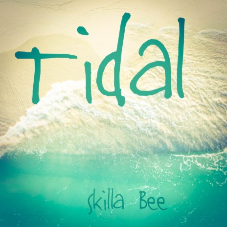 Tidal | Boomplay Music