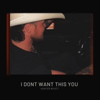 I Dont Want This You lyrics | Boomplay Music