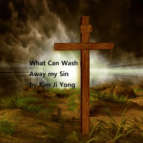 What Can Wash Away my Sin